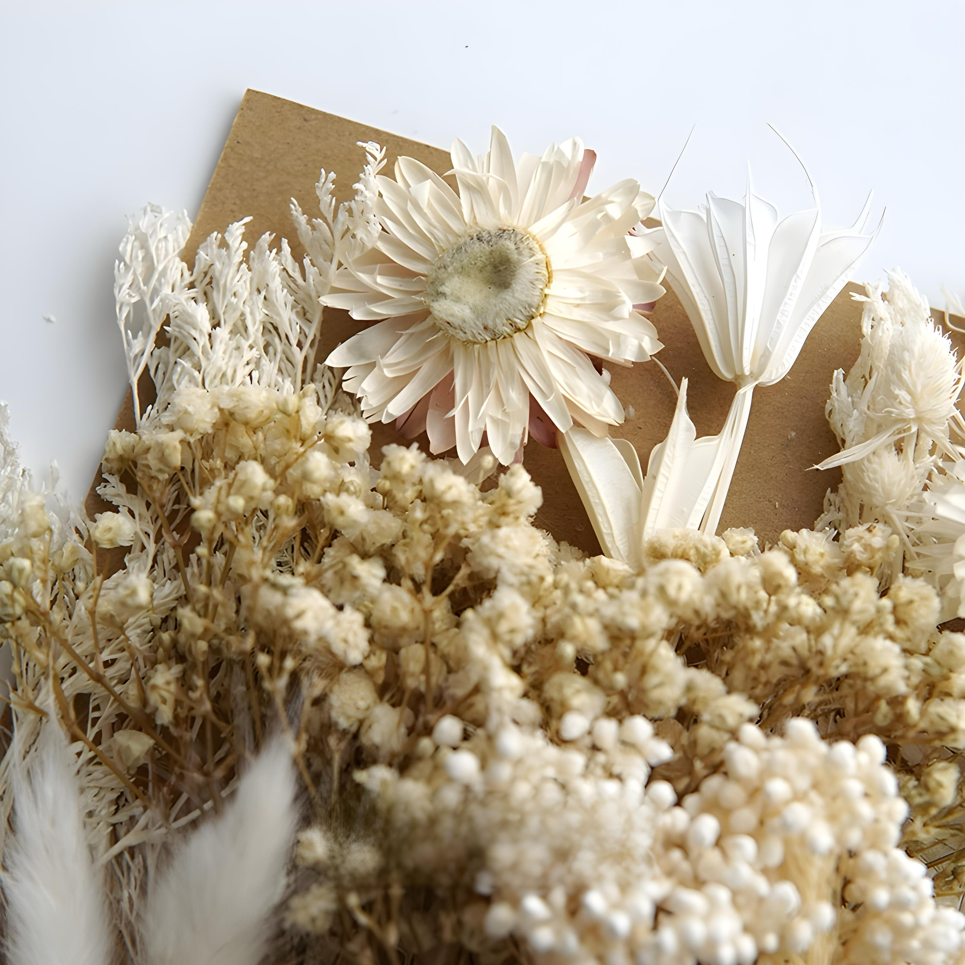 Dried Flowers