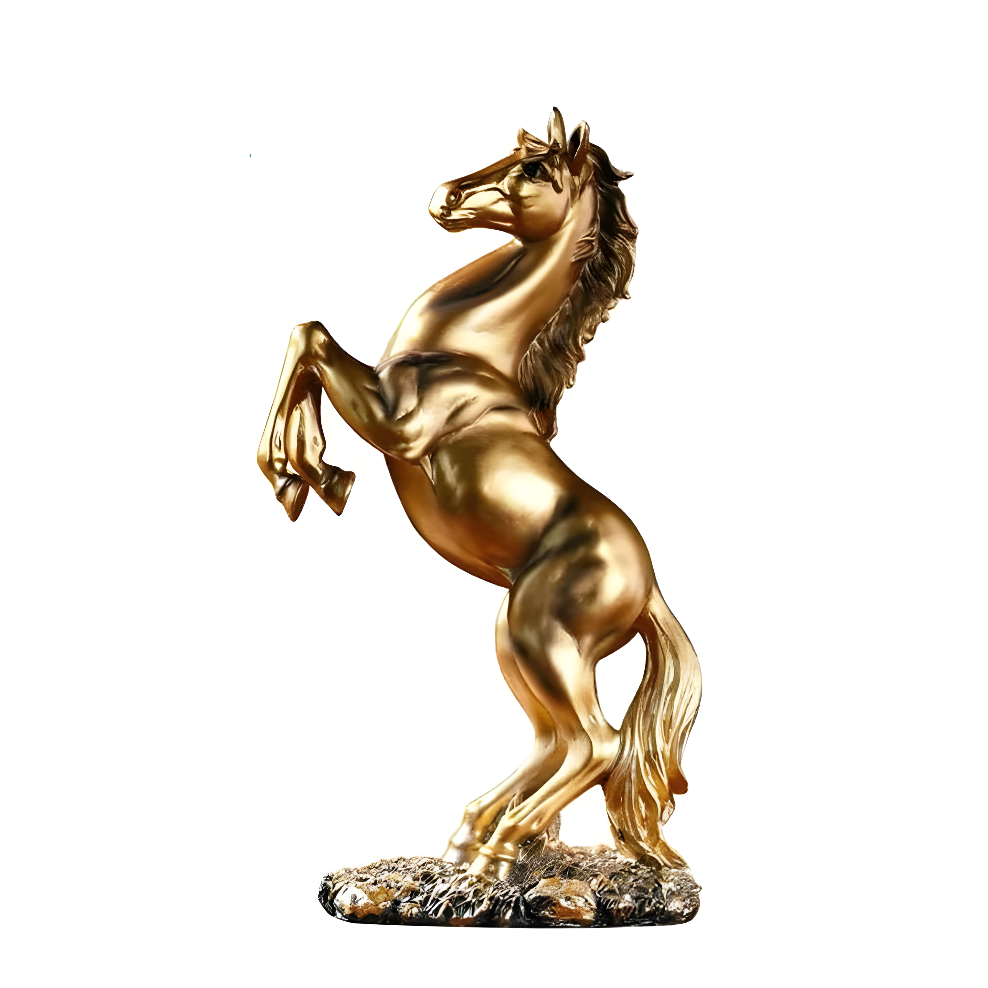 Eclipsed Stallion