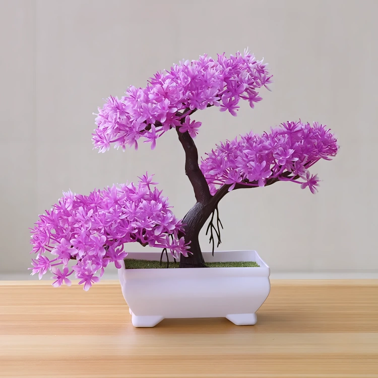 Bonsai Small Tree Pot