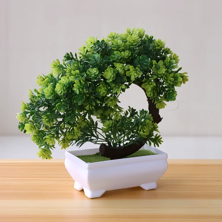 Bonsai Small Tree Pot