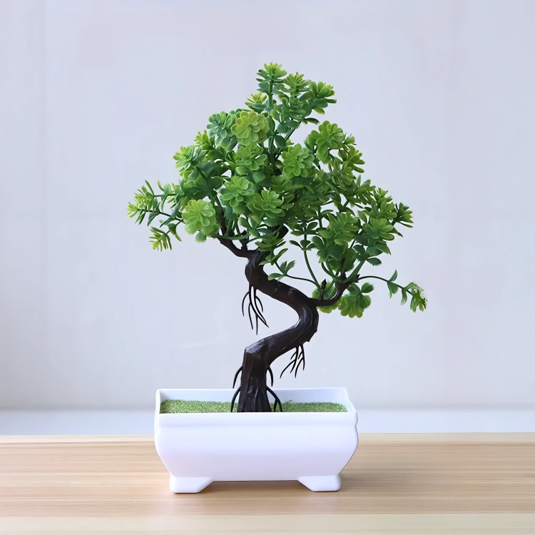 Bonsai Small Tree Pot