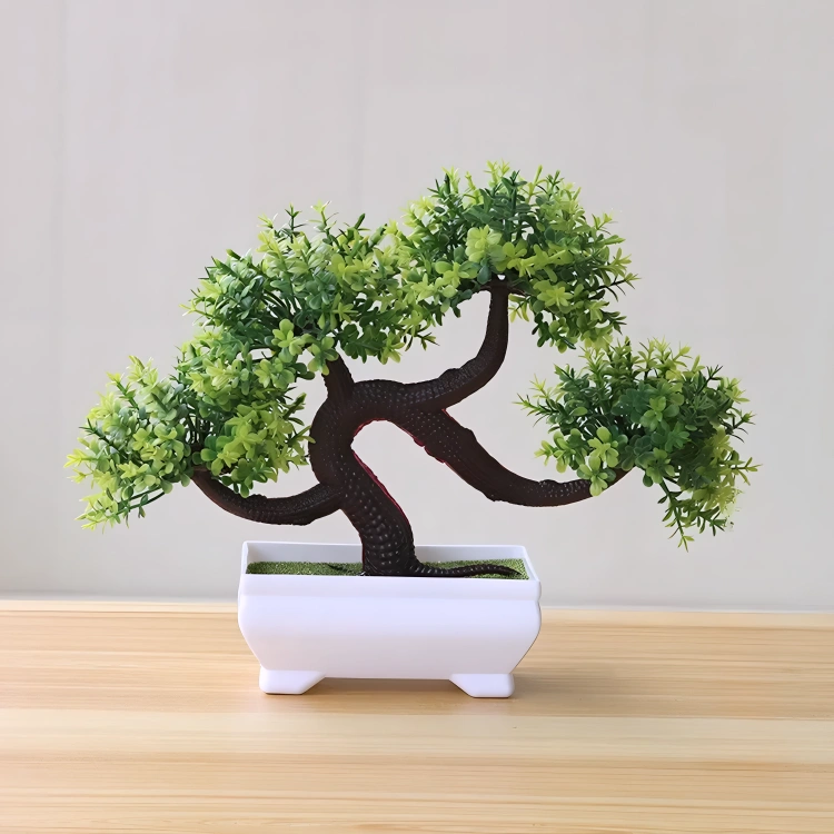 Bonsai Small Tree Pot