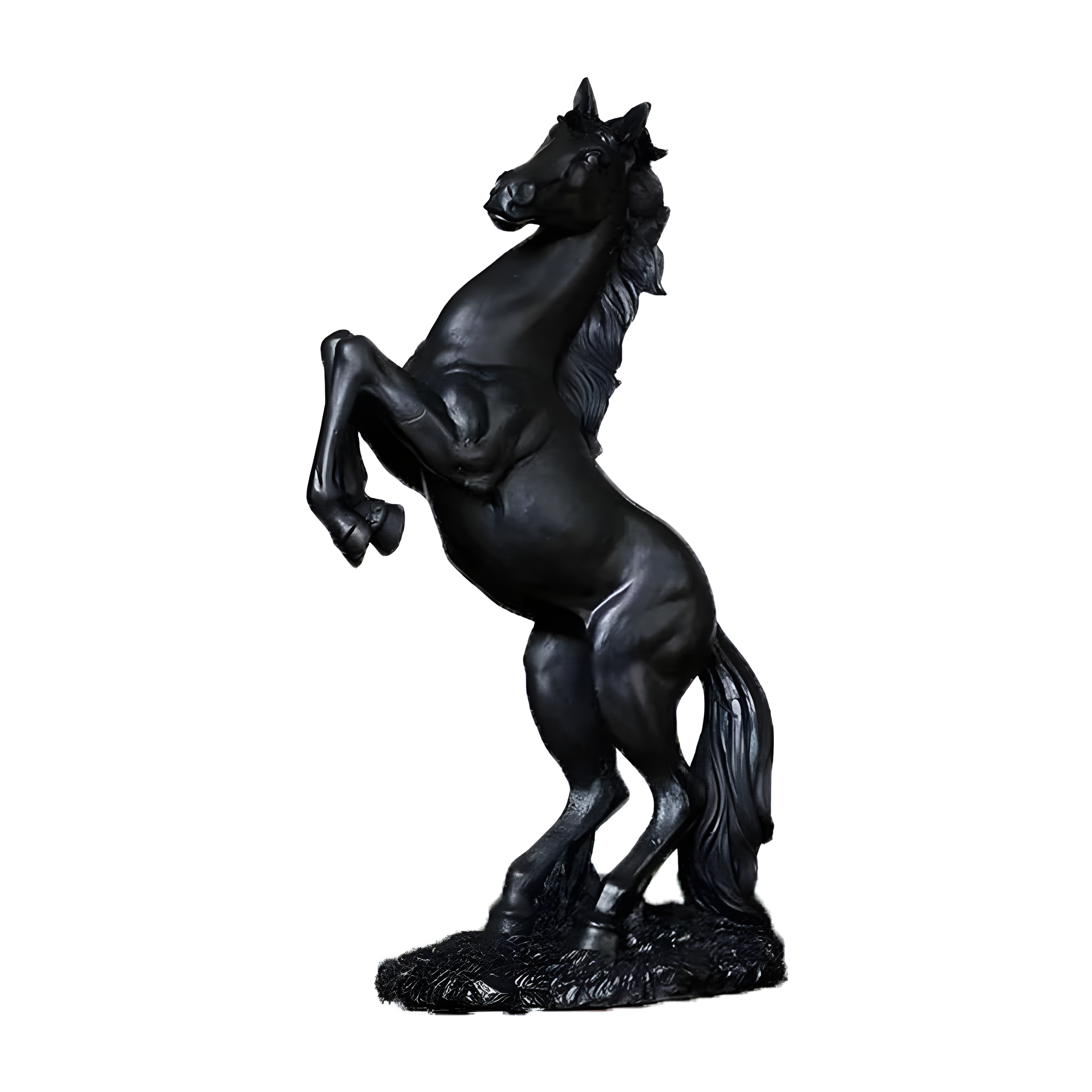 Eclipsed Stallion