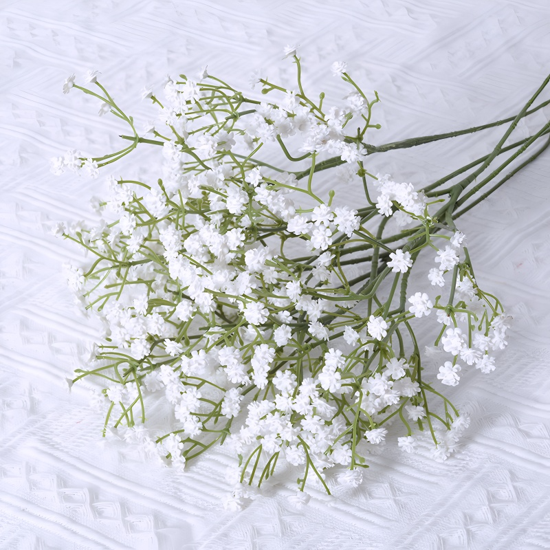 Baby's Breath Flower