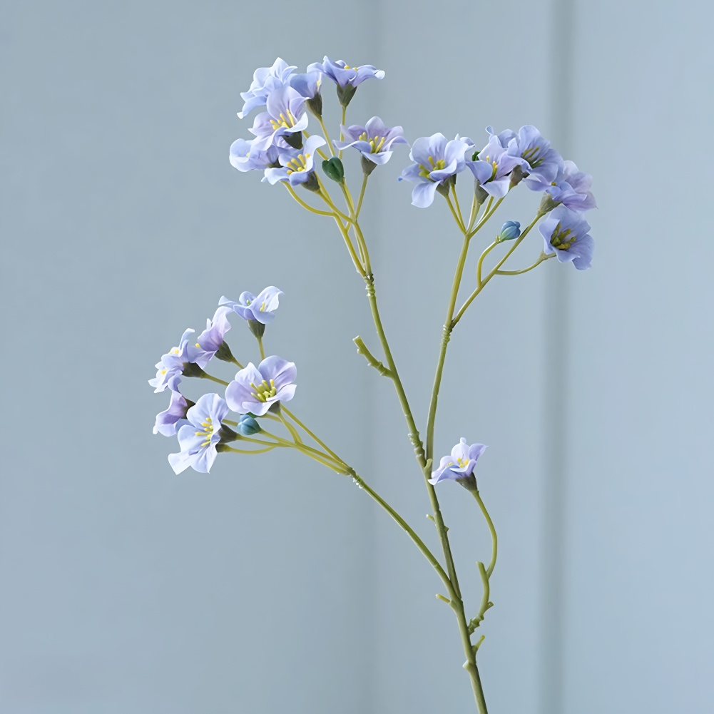 Celestial Cornflowers