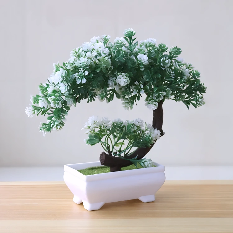 Bonsai Small Tree Pot