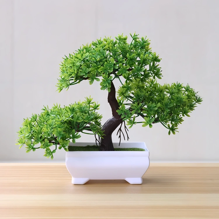 Bonsai Small Tree Pot