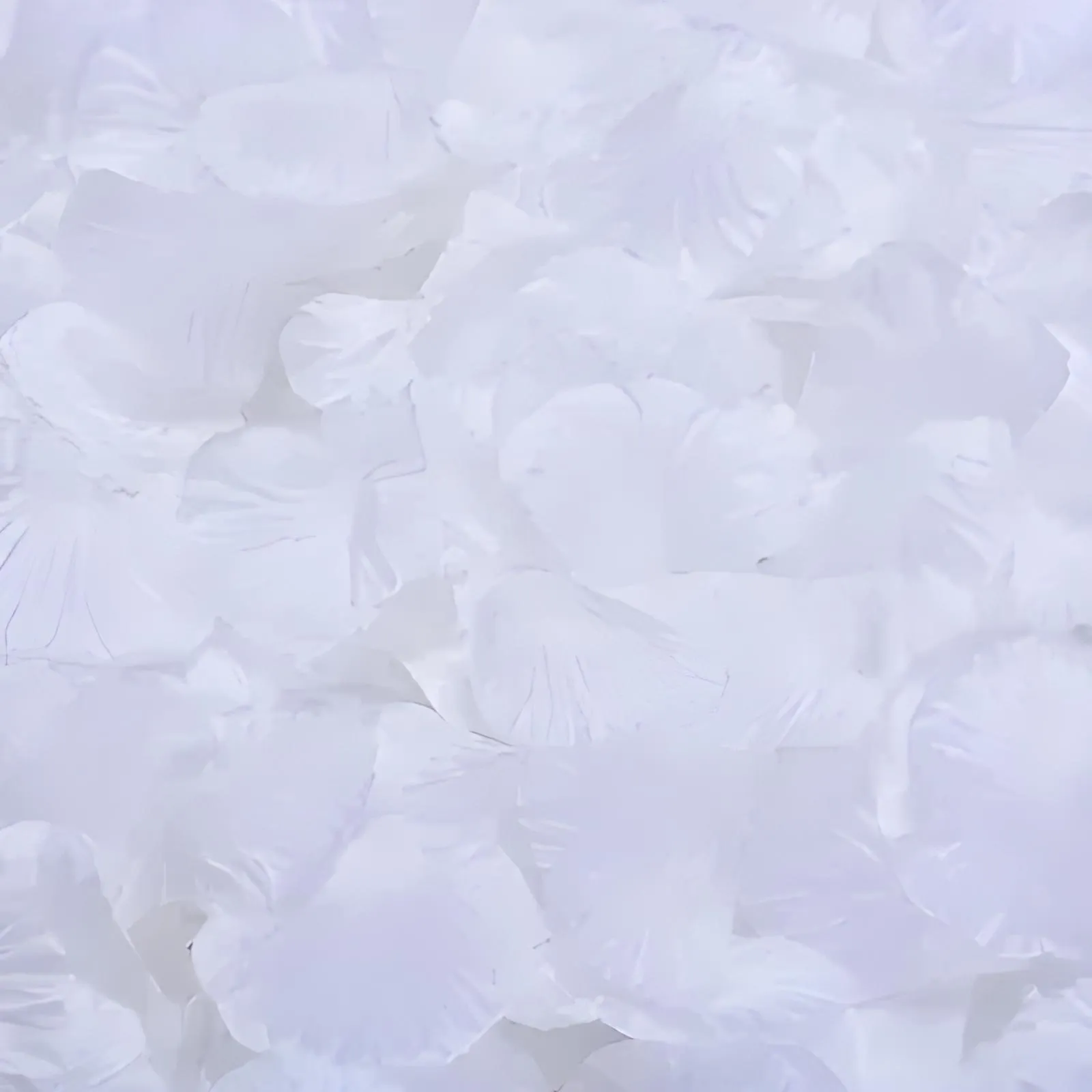 Silk Rose Petals