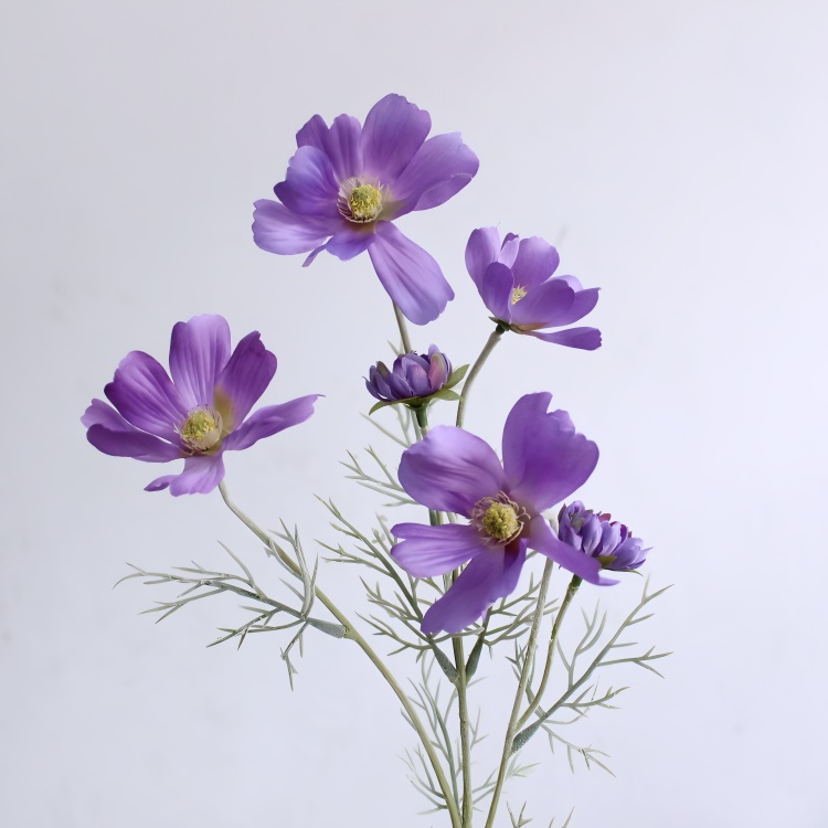 Chamomile Flowers