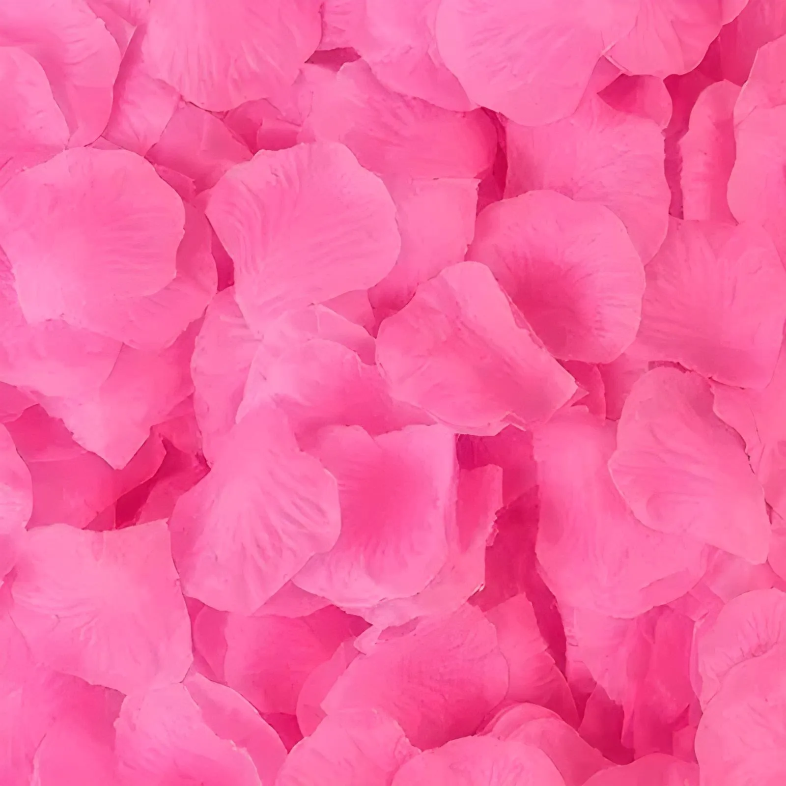 Silk Rose Petals