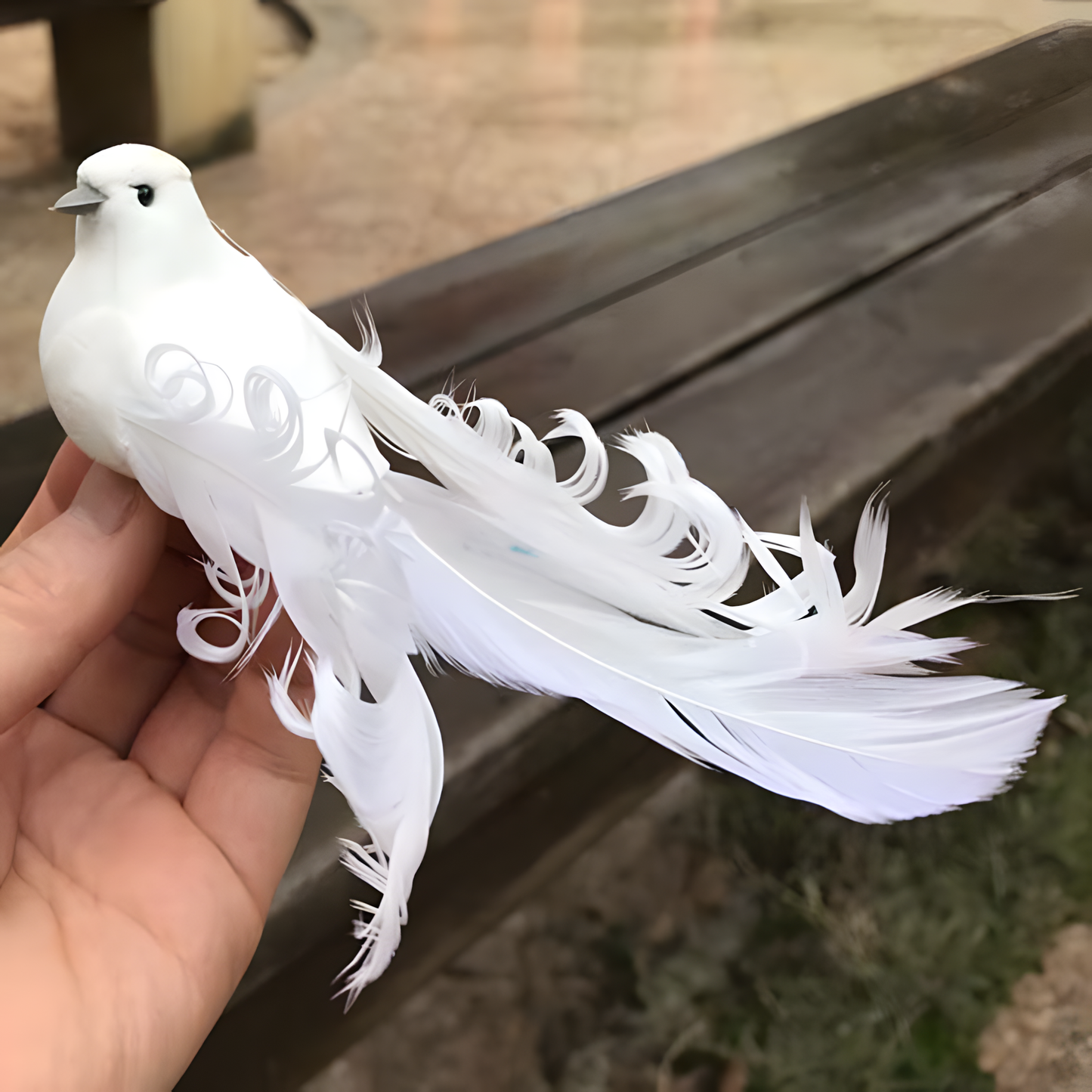 CloudKiss Doves