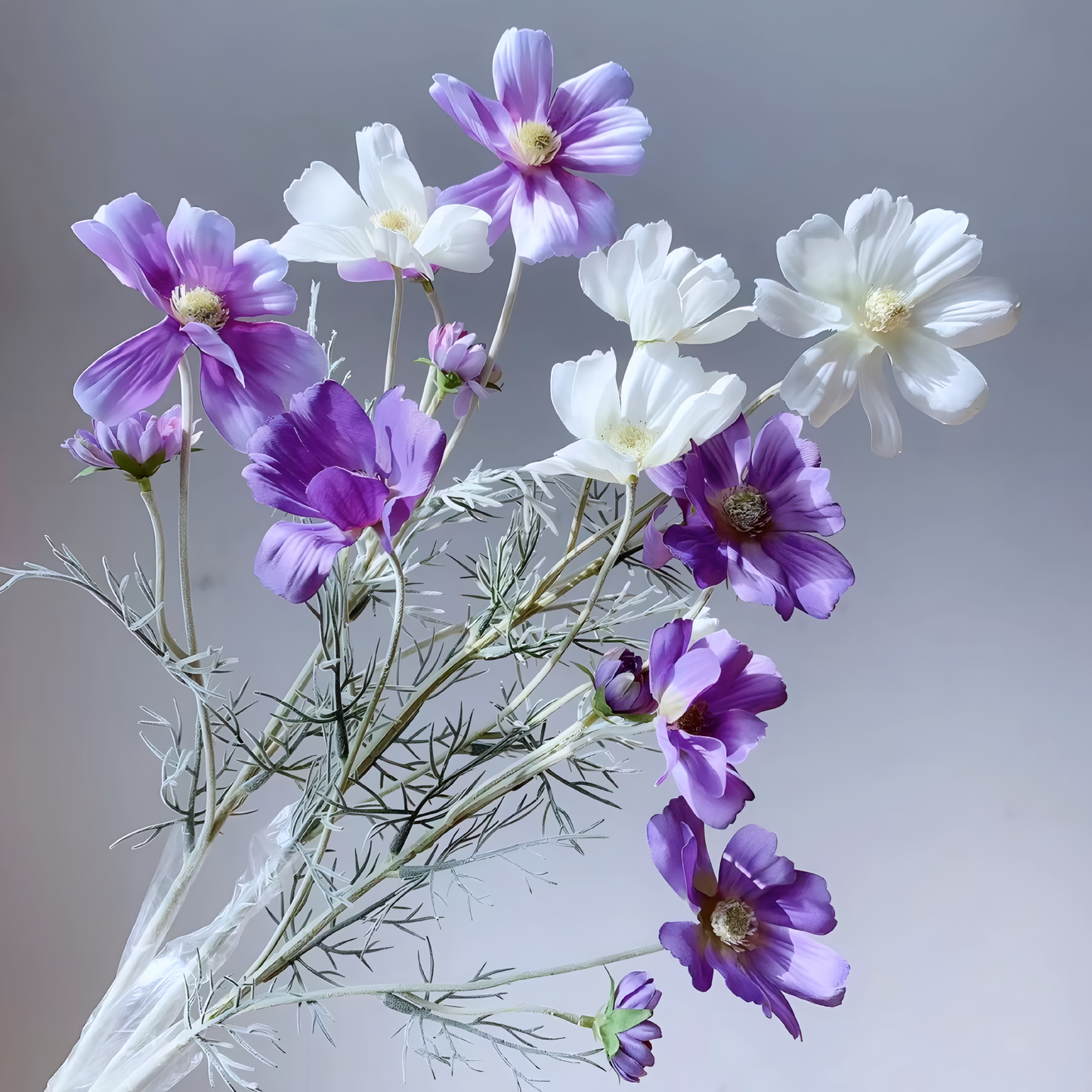 Chamomile Flowers