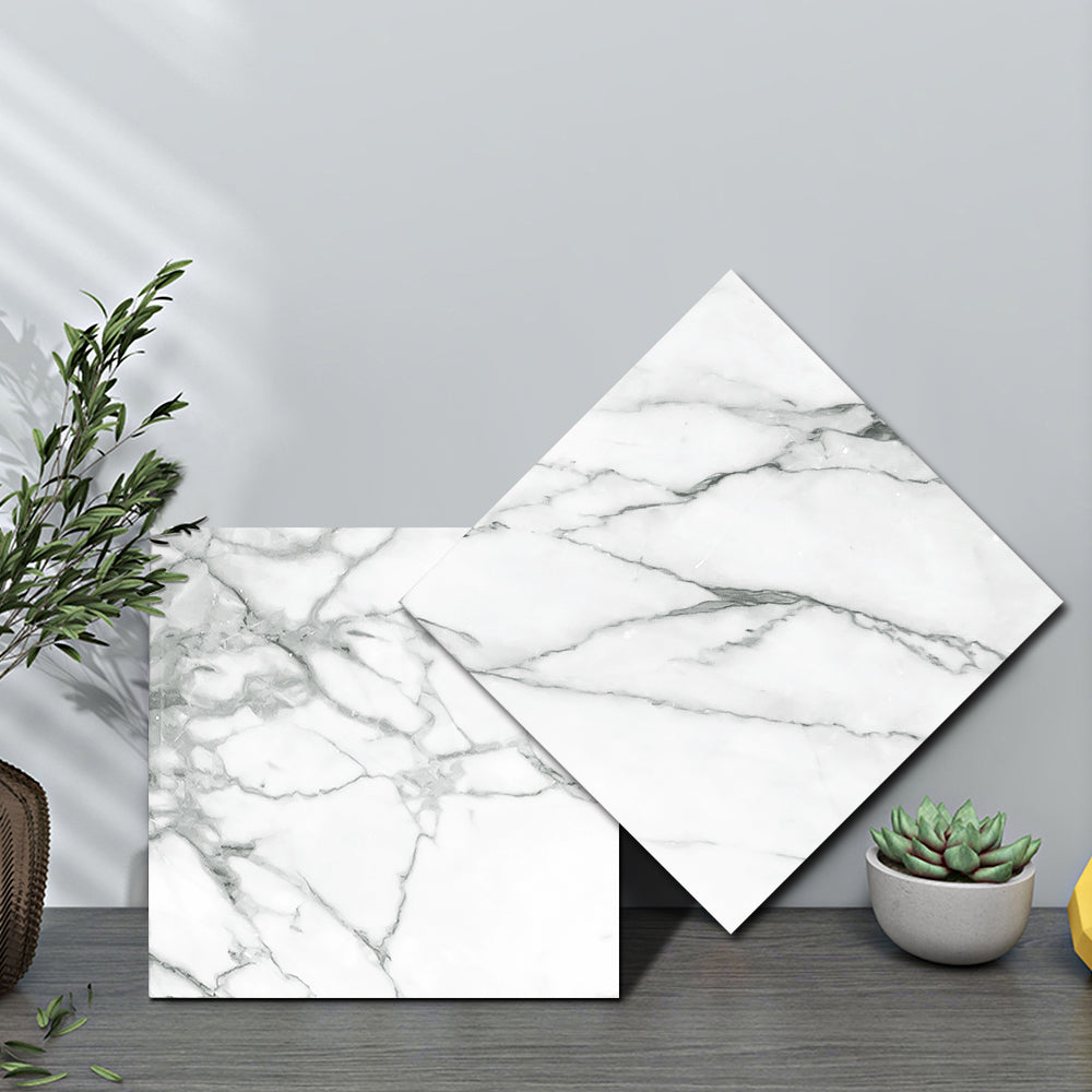 SealTile