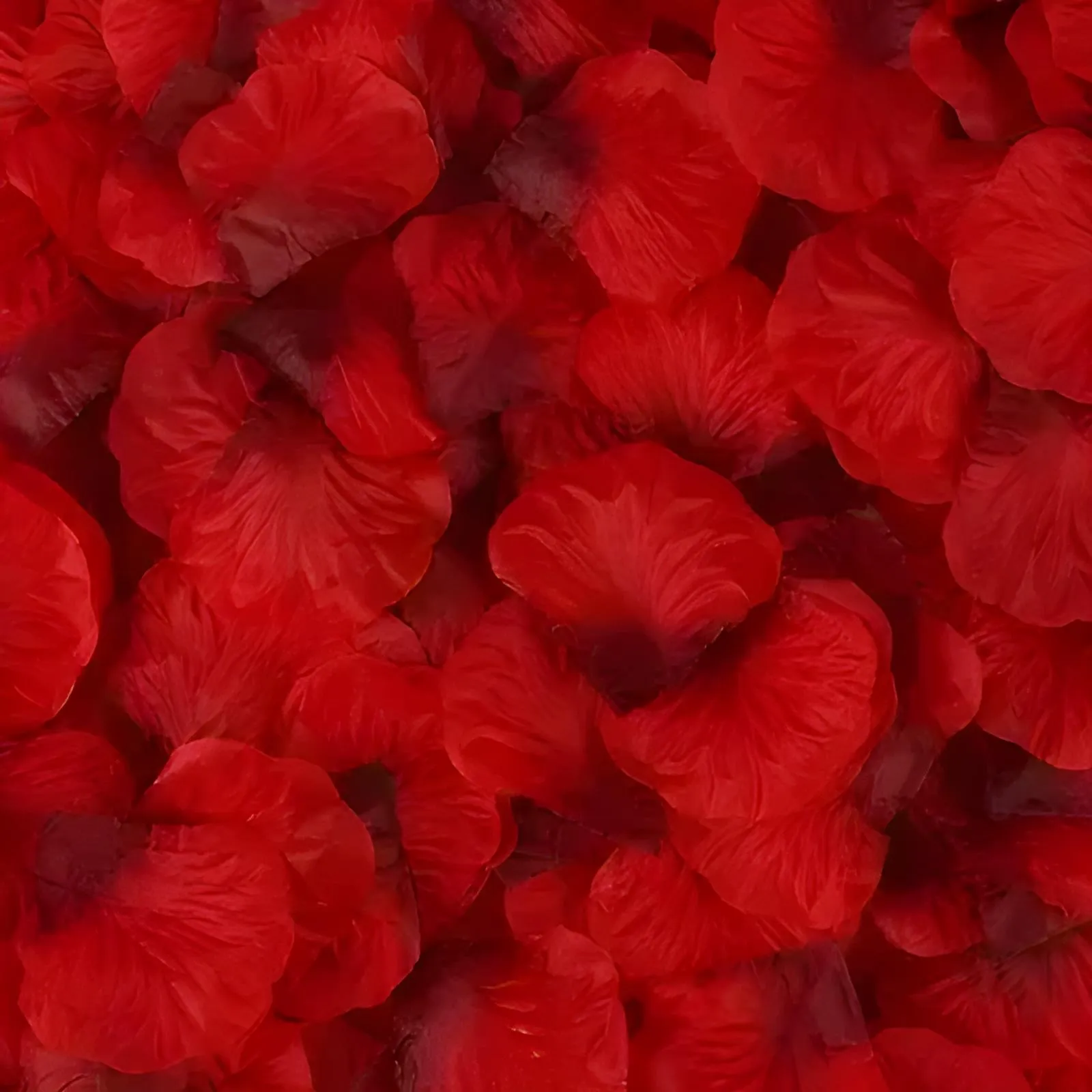 Silk Rose Petals