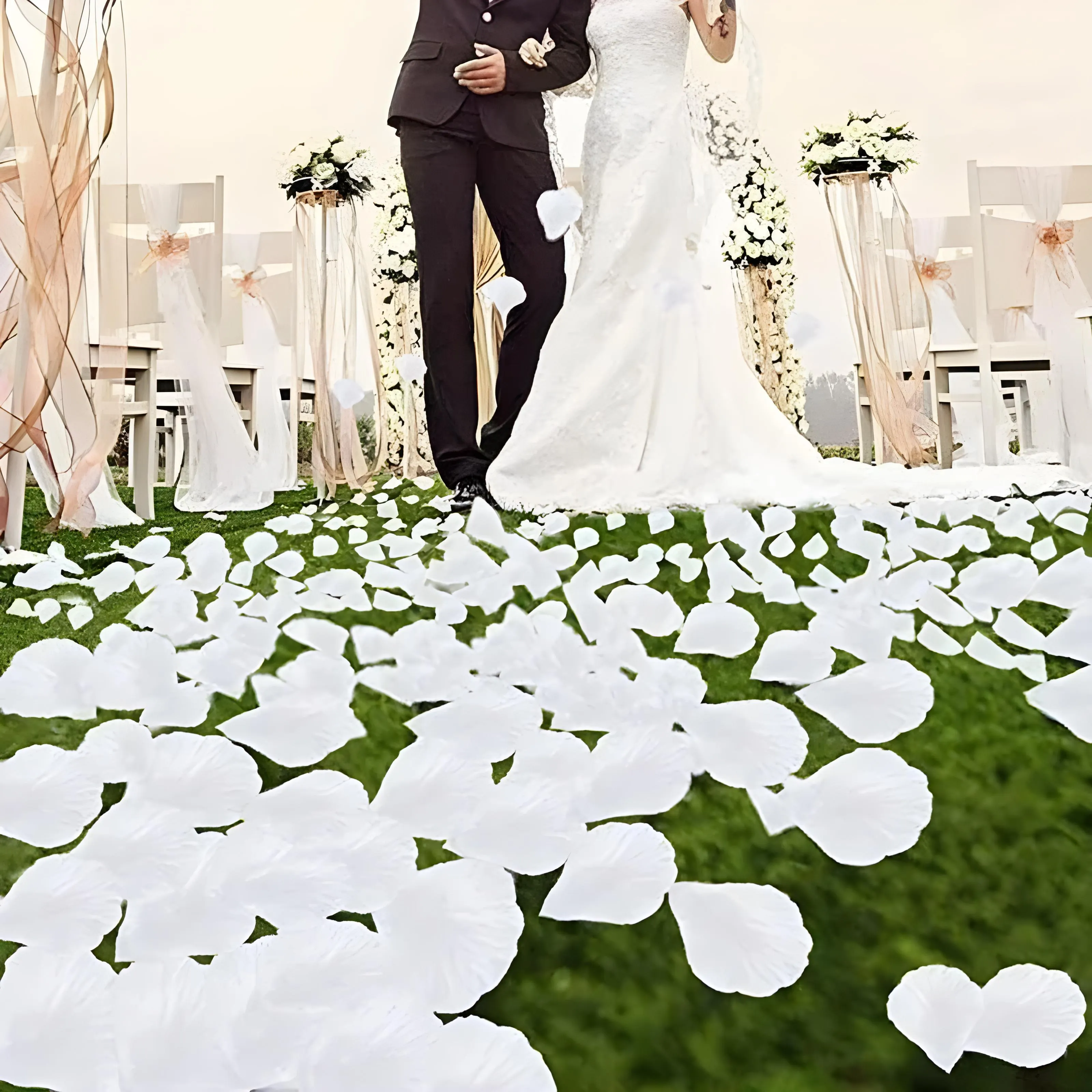 Silk Rose Petals