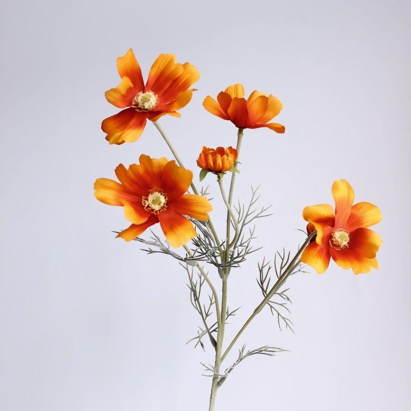 Chamomile Flowers