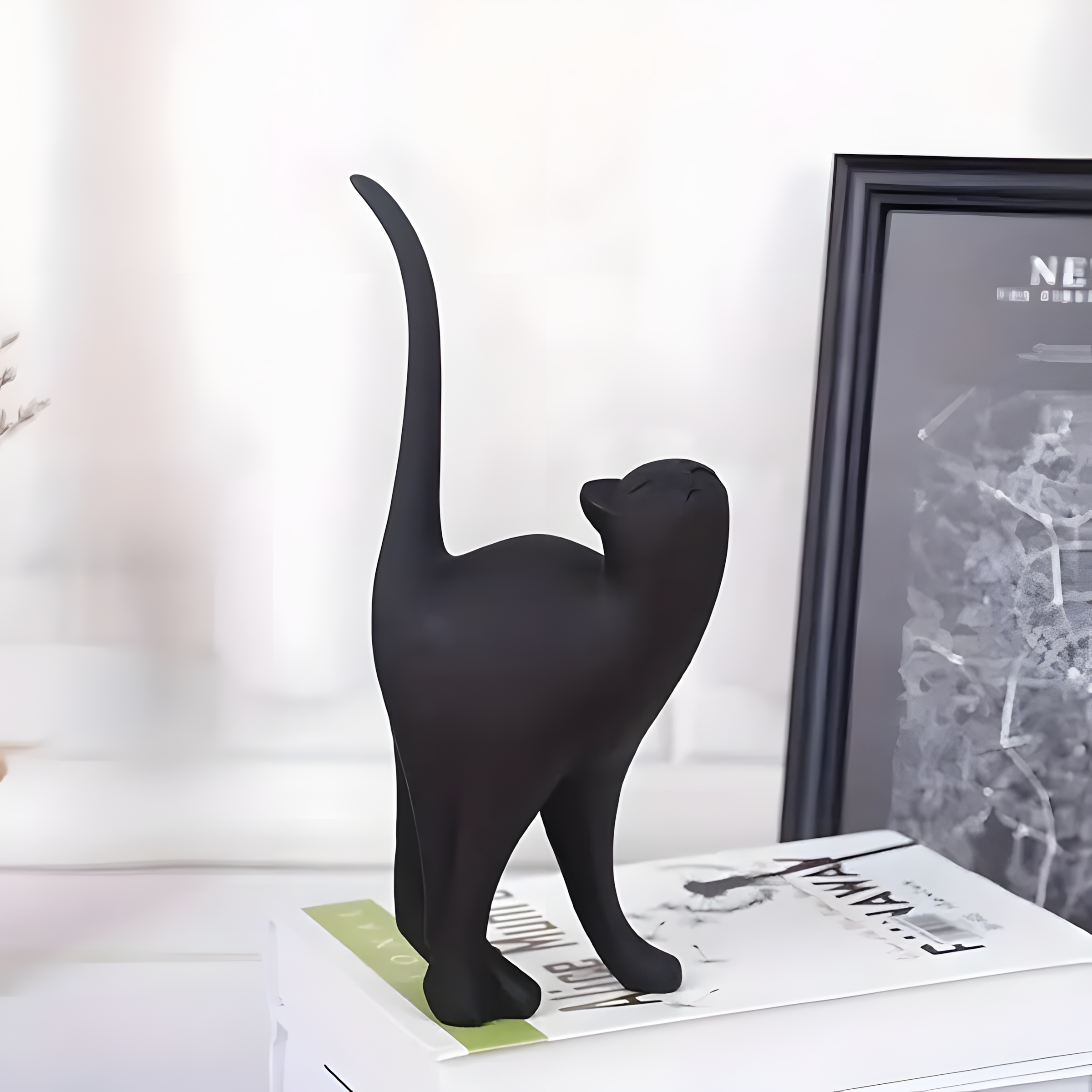 Serenade Cat