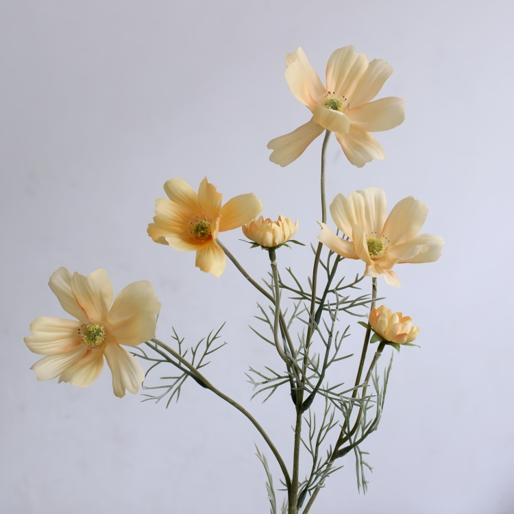 Chamomile Flowers