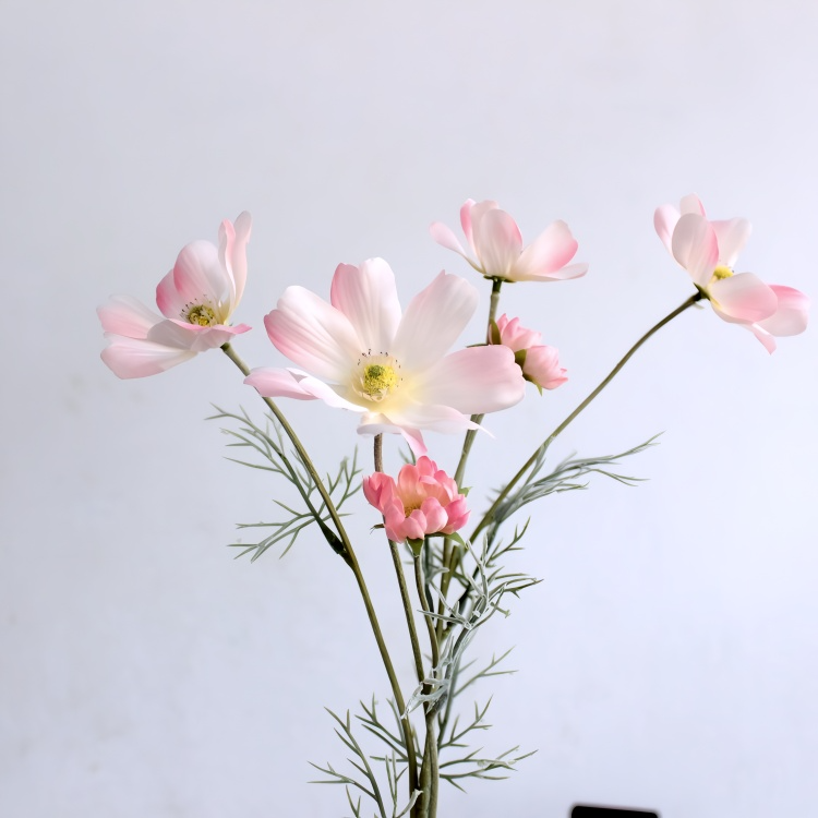 Chamomile Flowers