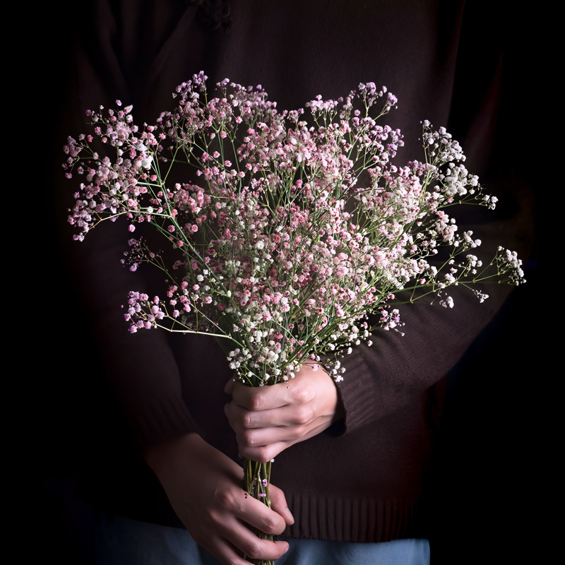 Baby's Breath Flower