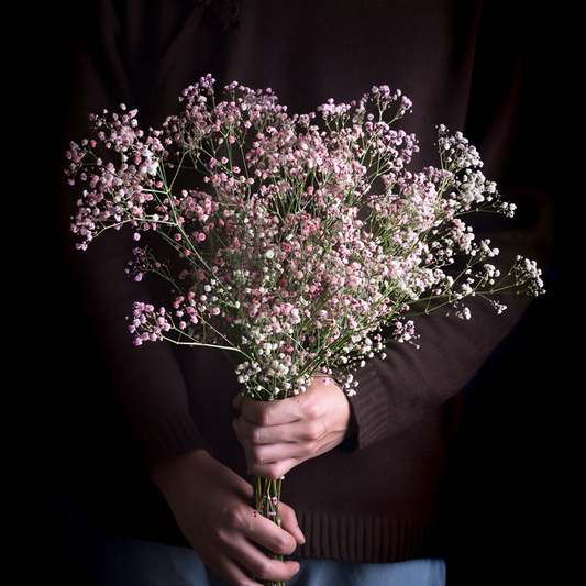 Baby's Breath Flower