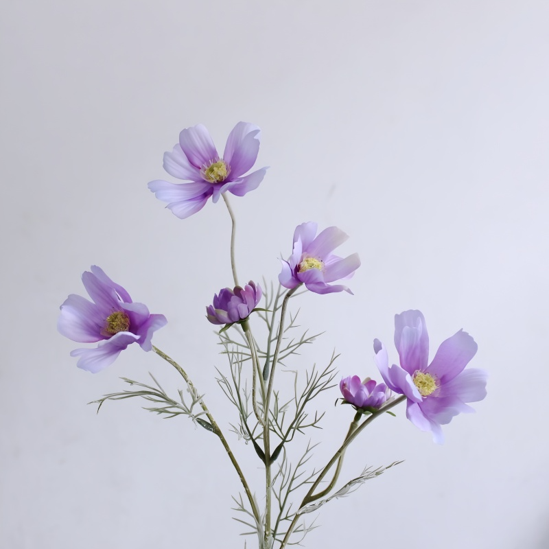 Chamomile Flowers